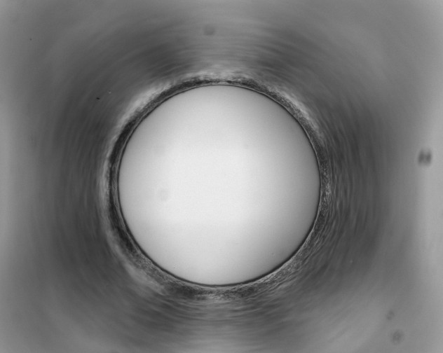 X0000102360678200808011000