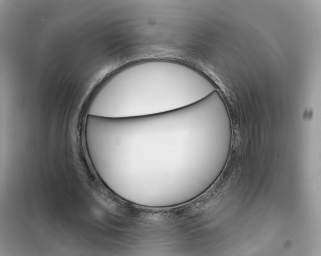 X0000102360679200808011000