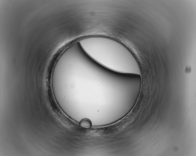 X0000102360680200808011000