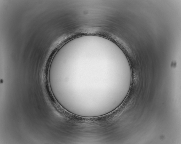 X0000102360682200808011000
