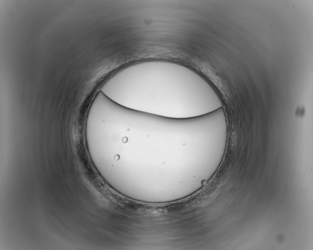 X0000102360683200808011000