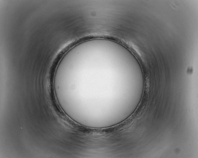 X0000102360684200808011000
