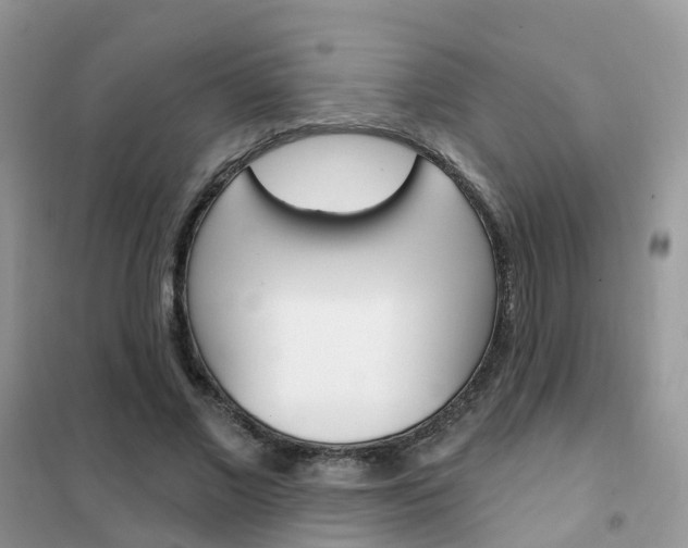 X0000102360685200808010959