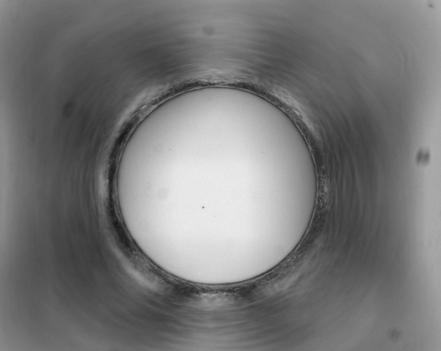 X0000102360686200808010959