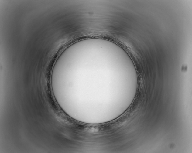X0000102360687200808010959