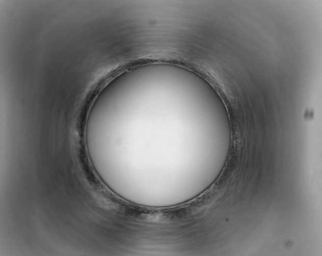 X0000102360688200808010959