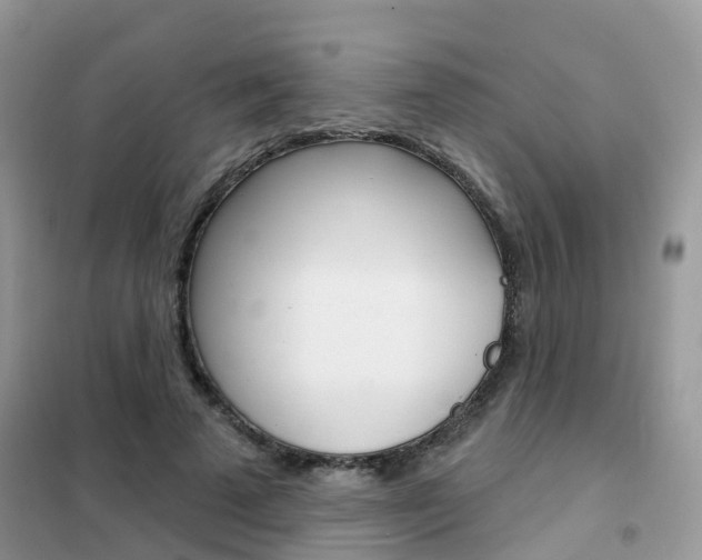 X0000102360689200808010959