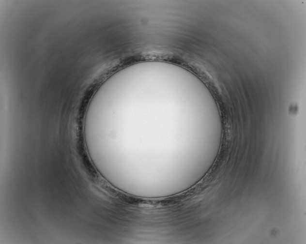 X0000102360690200808010959