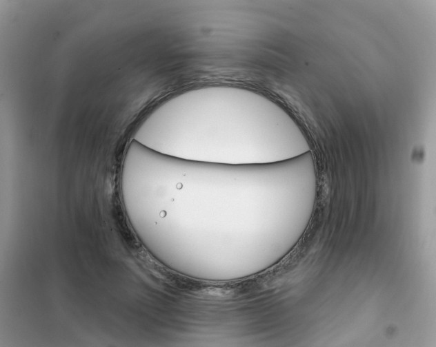 X0000102360691200808010959