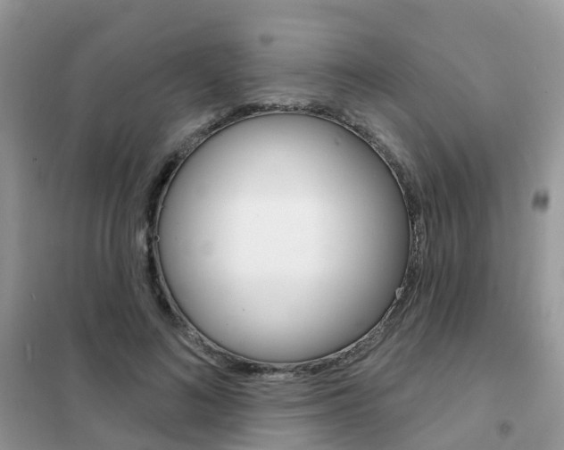 X0000102360692200808010959