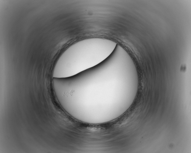 X0000102360693200808010959