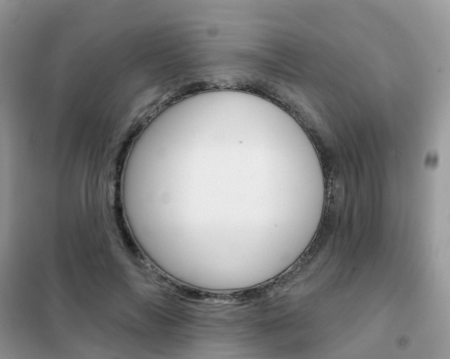 X0000102360694200808010959