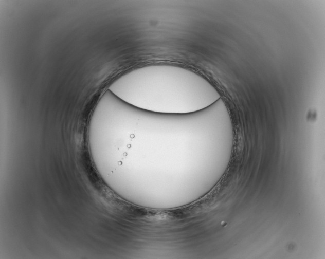 X0000102360695200808010959
