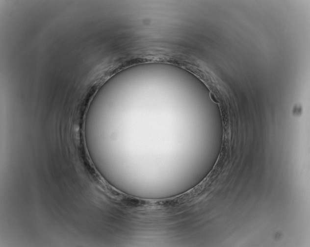 X0000102360696200808010959