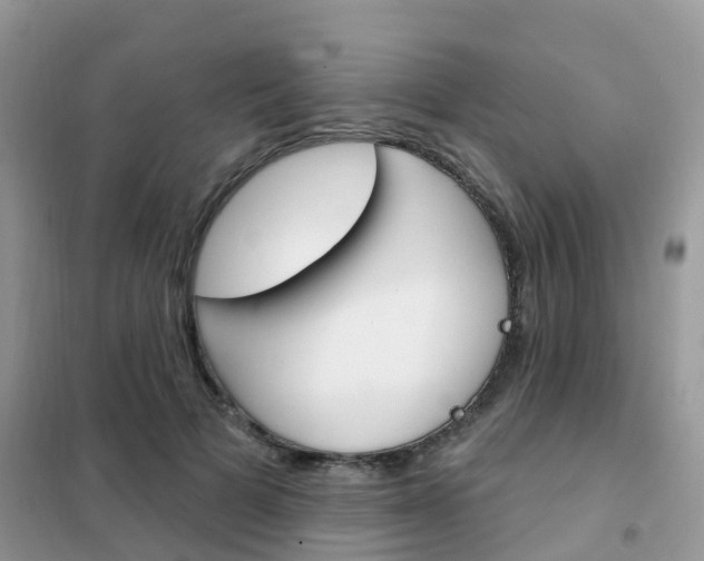 X0000102360697200808010959