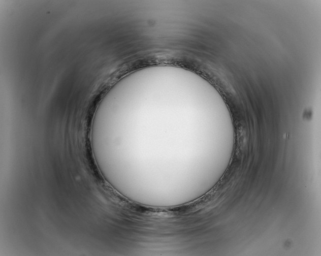 X0000102360698200808010959
