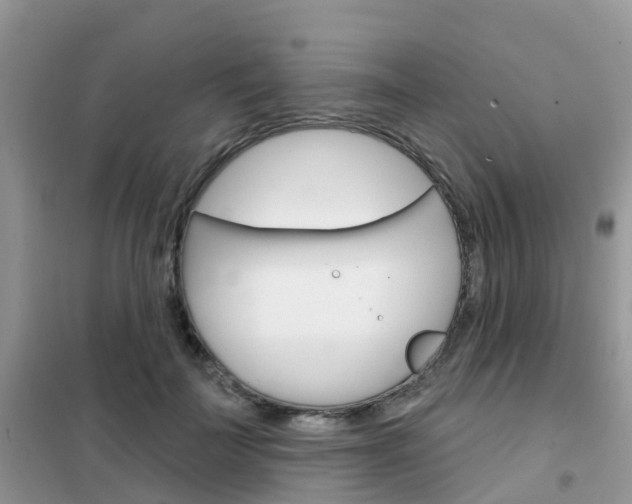 X0000102360699200808010959