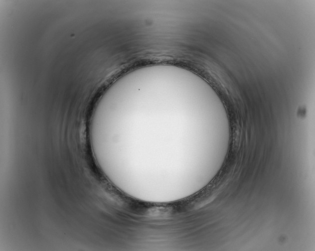 X0000102360700200808010959