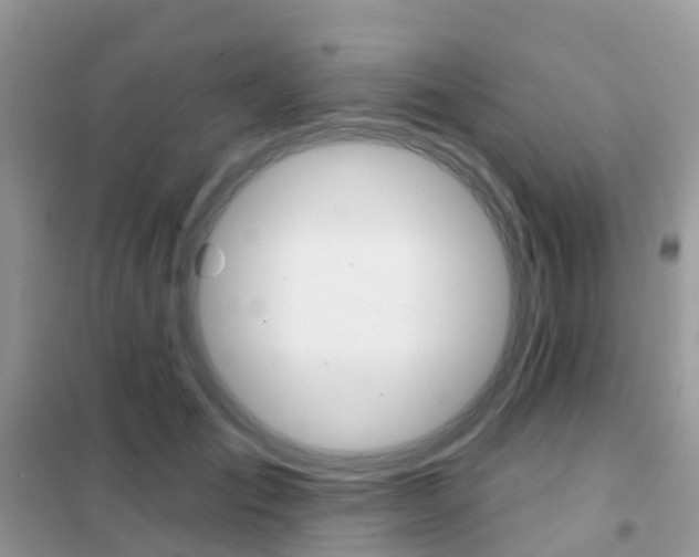 X0000102360701200808010959