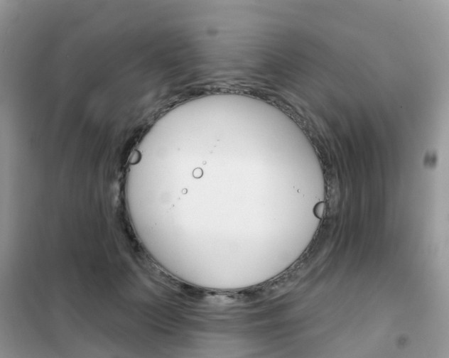 X0000102360703200808010959