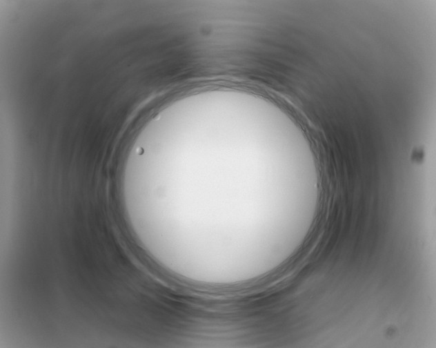 X0000102360705200808010959