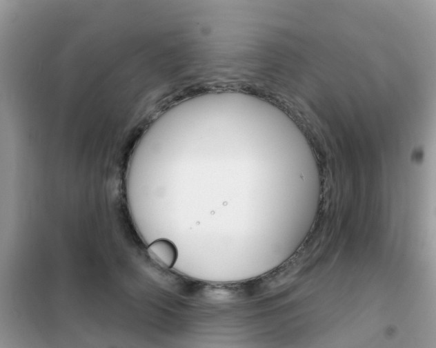 X0000102360706200808010959