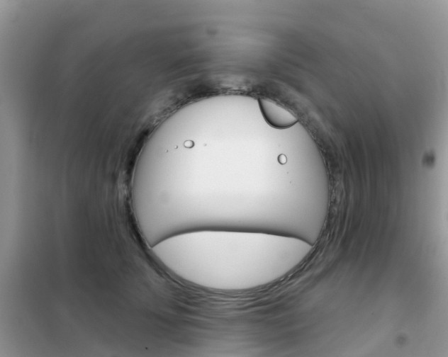X0000102360707200808010959