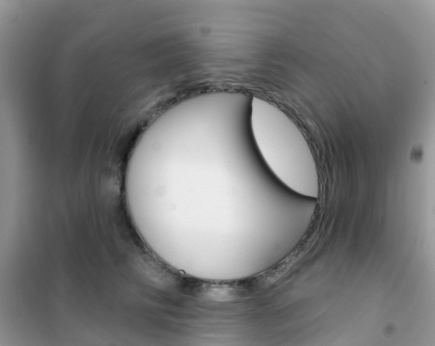 X0000102360710200808010959