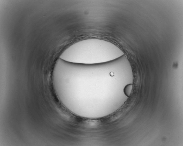 X0000102360711200808010959