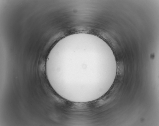 X0000102360713200808010959