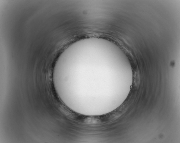 X0000102360714200808010959