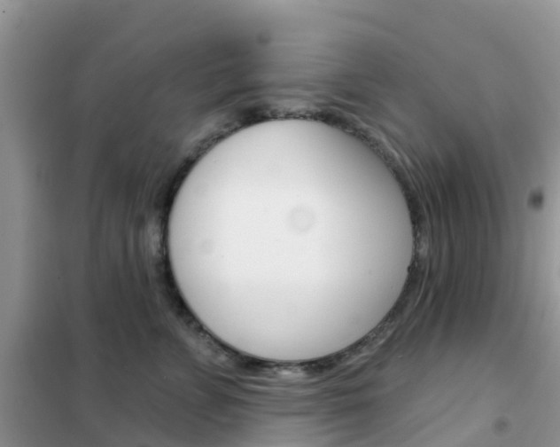 X0000102360715200808010959