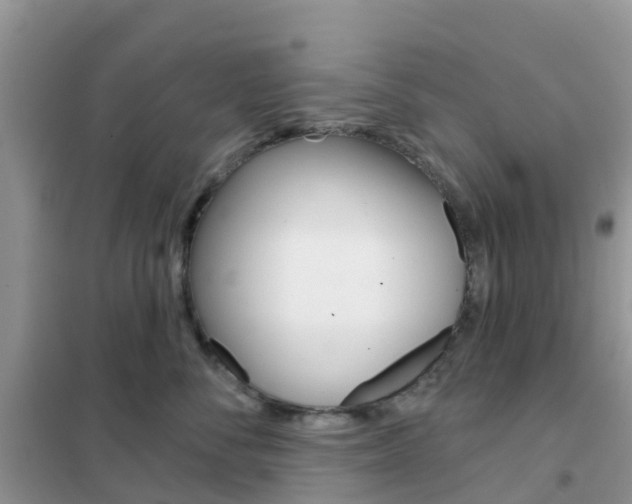 X0000102360716200808010959