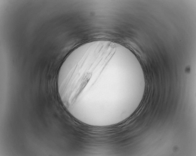 X0000102360717200808010959