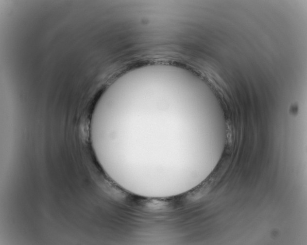 X0000102360718200808010959