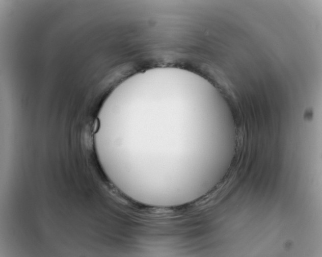 X0000102360719200808010959