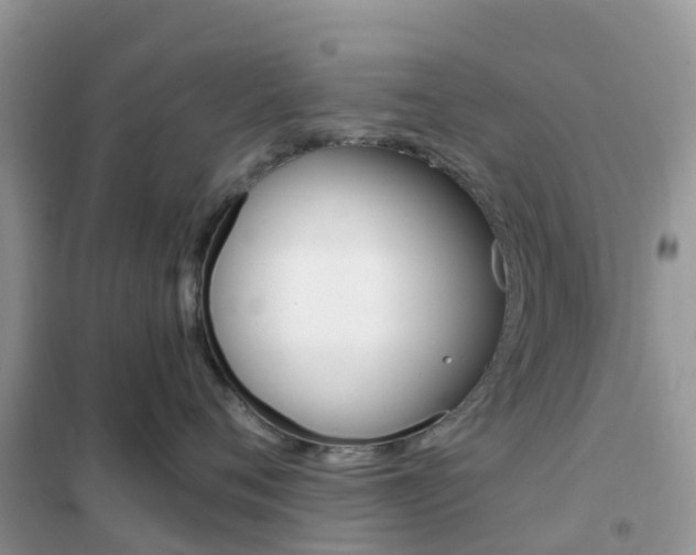 X0000102360720200808010959