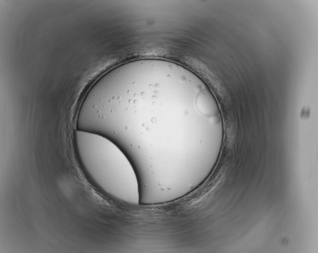 X0000102360721200808010958
