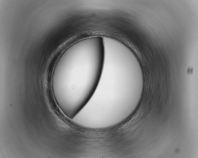 X0000102360722200808010958
