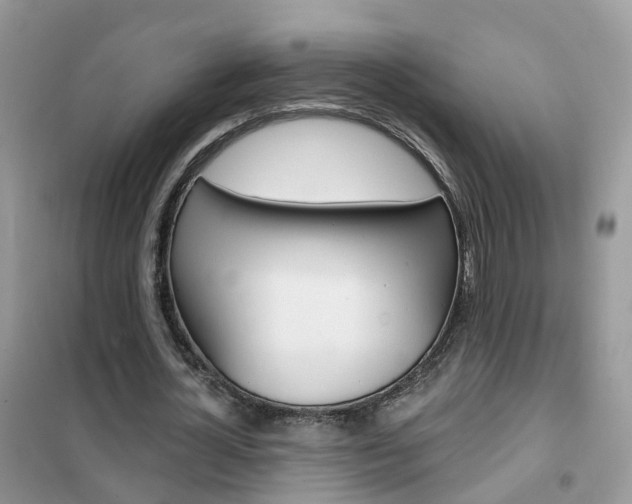 X0000102360724200808010958