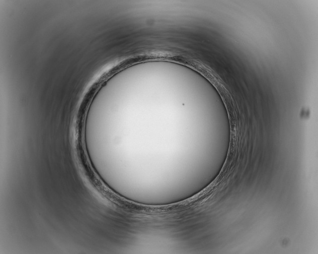X0000102360726200808010958