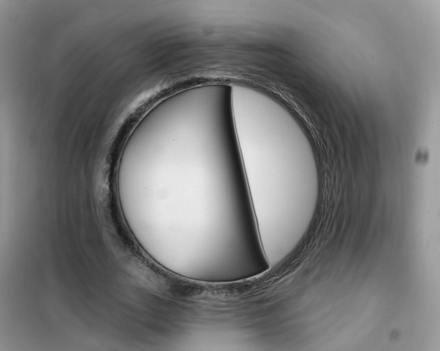 X0000102360727200808010958
