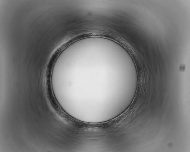 X0000102360730200808010958