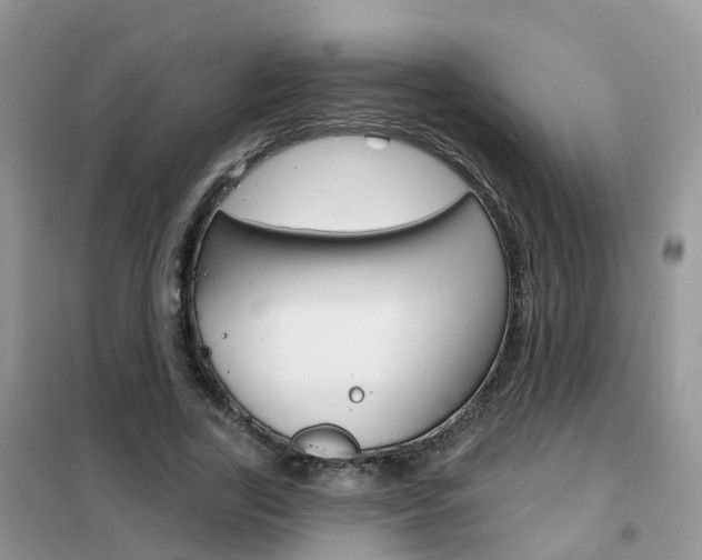 X0000102360731200808010958