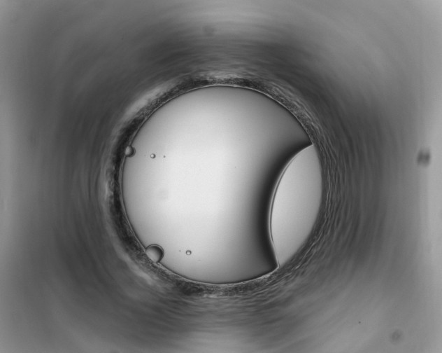 X0000102360732200808010958