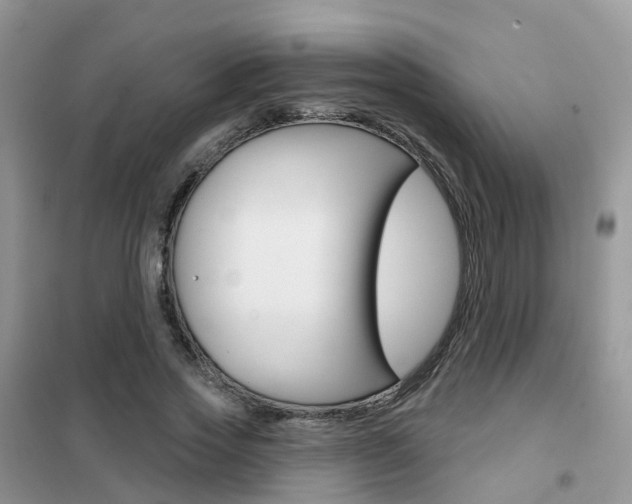 X0000102360733200808010958