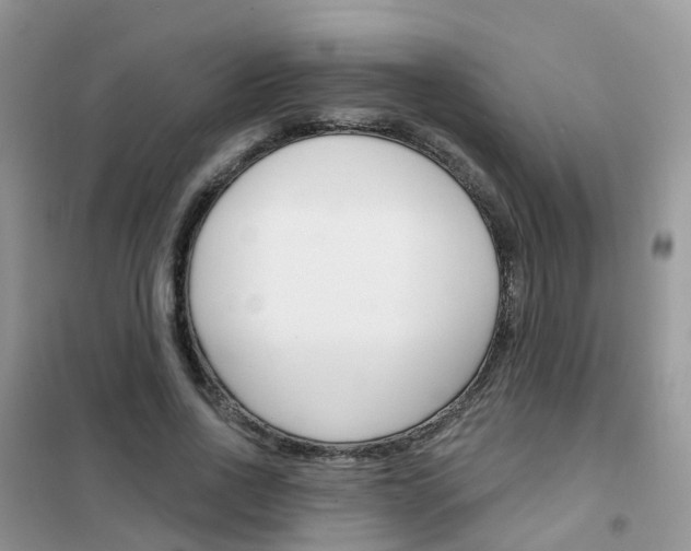 X0000102360734200808010958