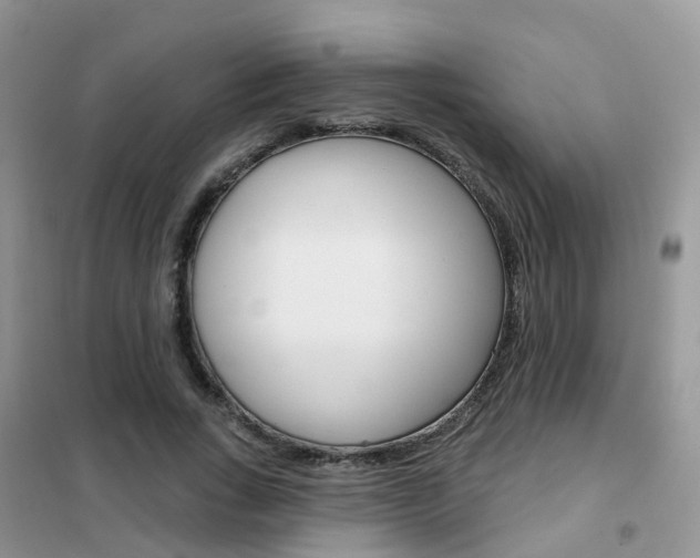 X0000102360735200808010958