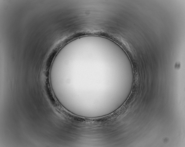 X0000102360736200808010958