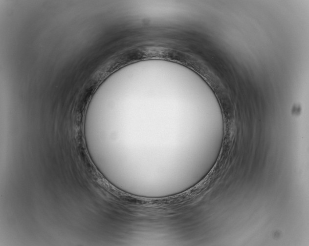 X0000102360737200808010959